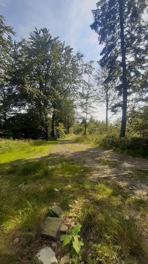 Apartament Spacerowo-Rowerowy Kamieniolom Kozy 60M2 Apartment Kozy Wielkie Luaran gambar